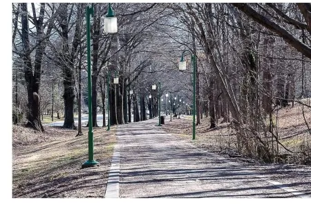 Renovated Duplex in Historic Old Salem Home