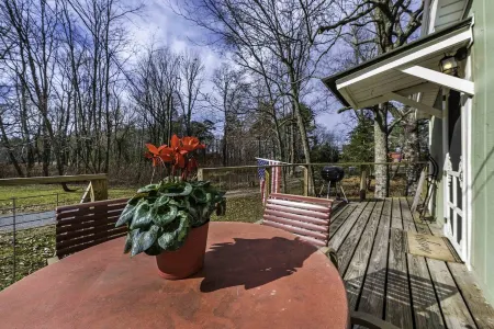 WHITETAIL on the PARKWAY w/ HOT TUB...named WHITETAIL for a reason .....