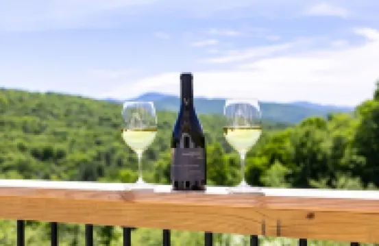 Sleeps 12: Apt & 3 rooms with common area and deck