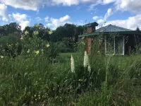 Cozy, Artistic Retreat Surrounded By Waterfalls, Orchards And Gardens Hotels in Newfield