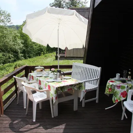 Pitched roof holiday home in the nature park on the Twistesee in an absolute forest location