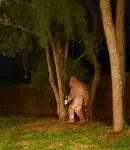 Great House in the heart of the Hill Country