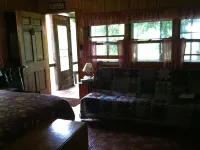 Secluded Cabin Nestled In The Trees Overlooking Fishing & Canoe Pond