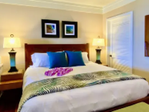 Luxury Ocean Villa 217 at Turtle Bay! Ocean Front!