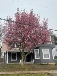 Historic beauty with partial lake views, walking distance to Burnside Marina!