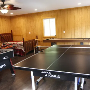 Luxury Mnt. View Cabin with game room, hot tub, fire pit and private ski trails