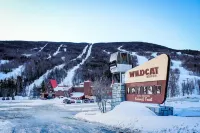 3 Bedroom Plus Loft, 2 Full Baths, 1 Minute to Story Land, 10 mins to Slopes!
