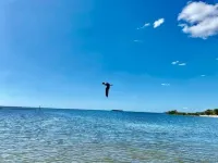 “Unwind. Relax. Escape Hotel a Pine Ridge