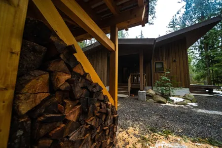 Cozy mountain retreat in the forest-close to Mt Baker Ski Area and pet friendly!
