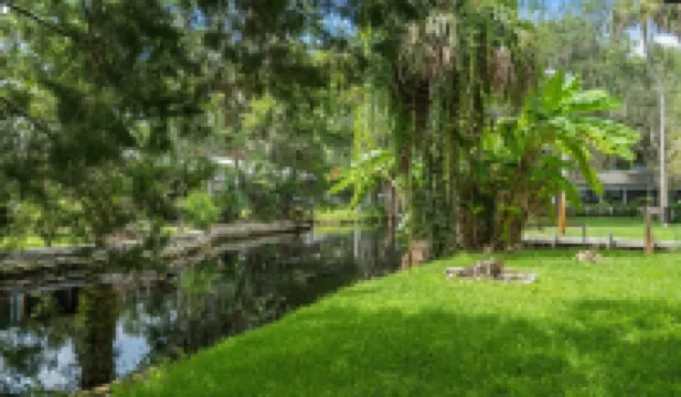 Charming Waterfront Canal Home in beautiful Old Homosassa! 5 Kayaks, Dock, Bikes