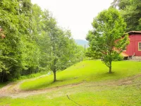 Spacious House, PERFECT Location,17 Miles to Asheville, Pets,View! Hotels in Edneyville