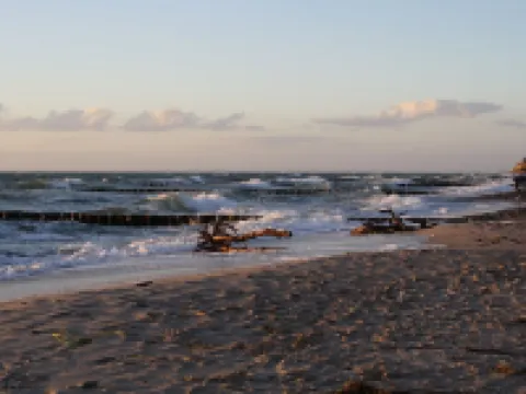 Vacation home close to the beach for 2 to 3 people on a large plot, quiet location. Hotels in Ahrenshoop