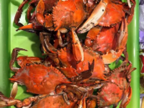 Steps from the beach! Come sail away! Hotels in Berkeley