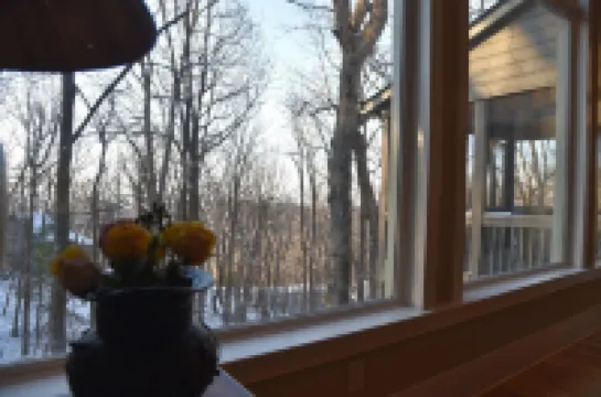 Big Canoe Mountain Home Near Golf, Lakes & Hiking Trails