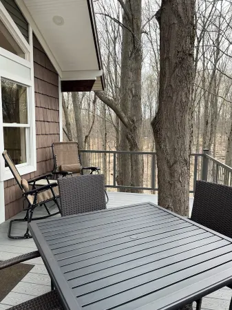 Be at home in the trees.