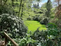 Nature vacation on 23000 m² natural site Hotels in Hemslingen