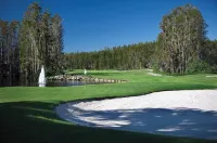 5-Star Saddlebrook Resort Hacienda: Golf, Tennis, Pickleball & Pool