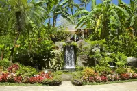 Aston Kaanapali Shores - 2Br Garden View - No Resort or Cleaning Fees