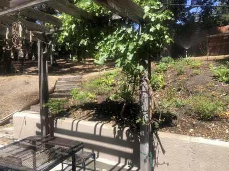 Welcome Inn: Family Friendly Oasis among the Oaks in Wine Country