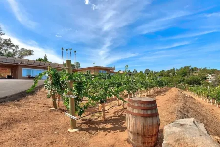 Private Vineyard Estate w/ Guest House & Hot Tub Отели в г. Каса де Оро-Маунт Хеликс