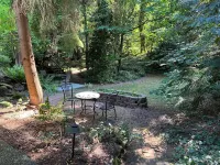 Hidden Creek Studio in Lake Forest Park!