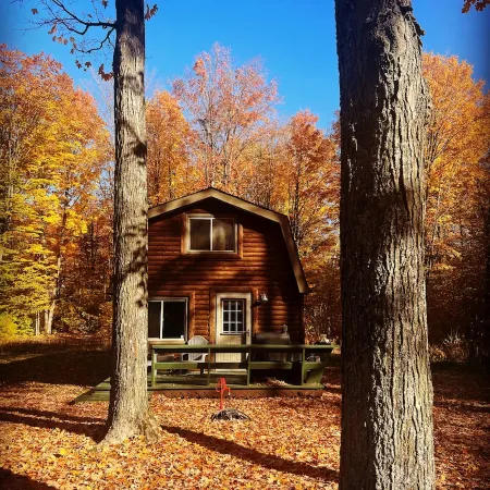 Bonfire Holler Cabin