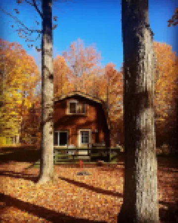Bonfire Holler Cabin