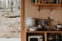 Tiny cabin amongst trees on a farm with alpacas