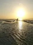 Vacation apartment with dog in Cuxhaven Sahlenburg Apartment 3