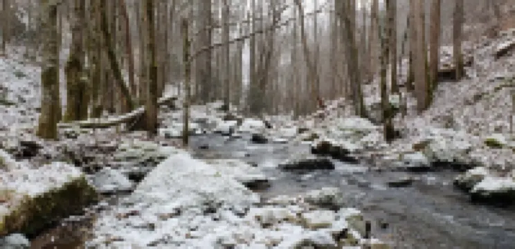 Elysium Falls deep in the Laurels