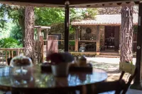 Canarian house with pool, barbecue, wifi, netflix Hotel dekat Pinolere ethnographic museum and park