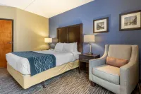 Suburban Studios Arlington Heights Elk Grove Hotels in Elk Grove Township