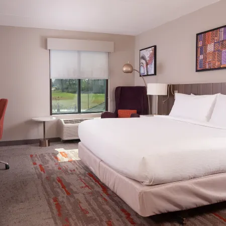 Hilton Garden Inn Atlanta Airport/Millennium Center