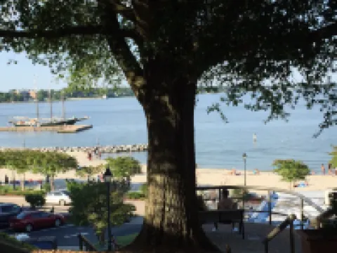 Private 2,000 Sq Ft Cottage in Historic Yorktown- w/ trolley access 約克鎮酒店