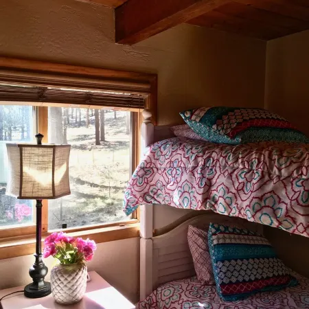 Log Cabin in tall pines, backs to forest, great hiking, star-gazing, biking!