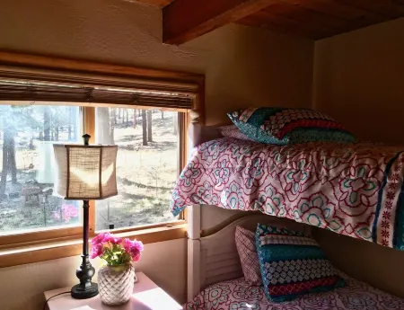 Log Cabin in tall pines, backs to forest, great hiking, star-gazing, biking!