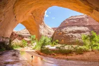 Red Rock Ranch Log Cabin: Large, Fully Furnished, 5 Bdr, sleeps 12, 3 levels