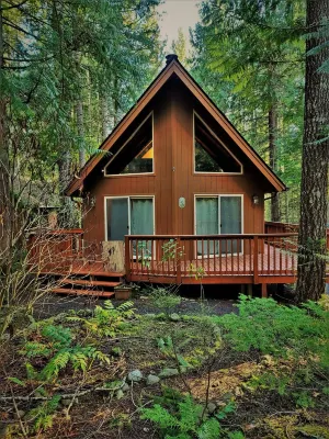 Relaxing Cabin Adjacent Olympic National Park / Forest & Beautiful Lake Cushman!