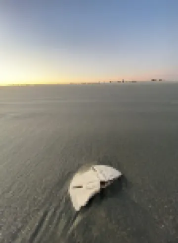 Home Near Sullivans Island, Old Village, Mt Pleasant, Beaches, 10 Min to Chs