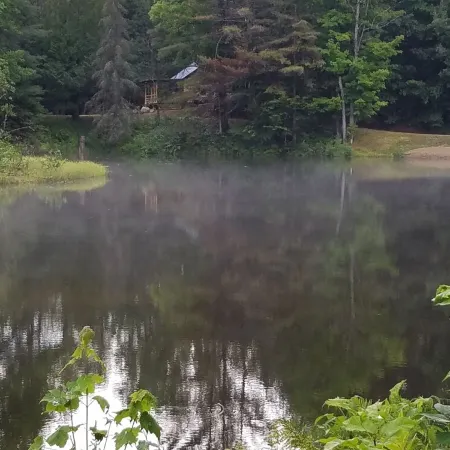 PET-FRIENDLY - Twilight Cabin a Unique Waterfront Log Cabin