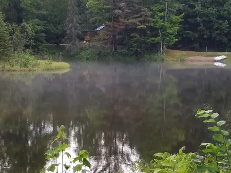 PET-FRIENDLY - Twilight Cabin a Unique Waterfront Log Cabin