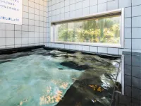 SUPER HOTEL Okinawa Nago