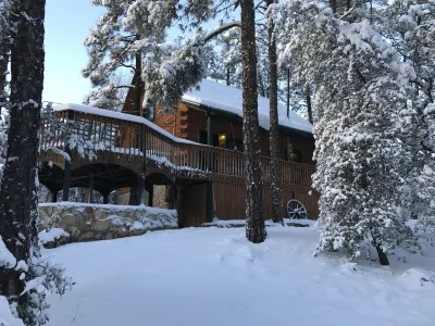 Log Cabin in the Pines with short walk to Downtown. Weekly Discounts