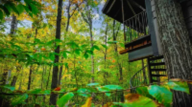 Magical Treehouse in Woods, Close many Wineries & Breweries, Pet Friendly!