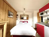 Chalet family 5 Marmottes Hoteles en Samoëns