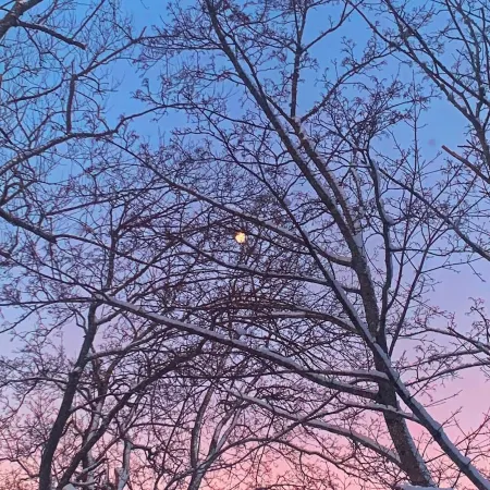 Charming Historic Loft Apartment in Waldoboro. Once an Army Post & Dance Hall.
