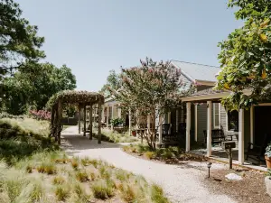 Hill Country Herb Garden