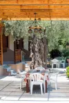 Kapsogeorgis Rooms Hotel di Koinira