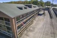 화이트 윙 로지