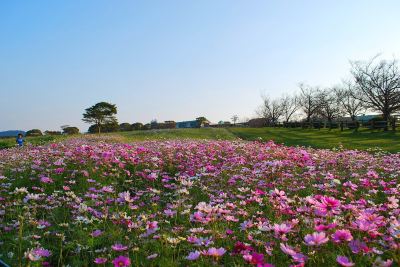 ホテル周辺 霧島国際ホテルの写真